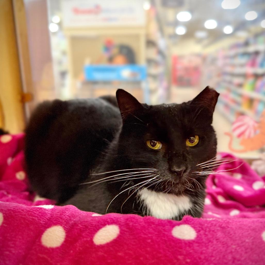 Roberna — thumbnail 4