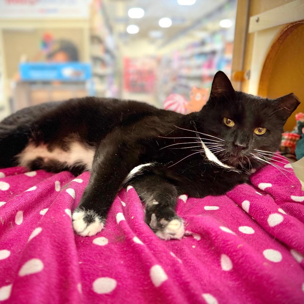 Roberna — thumbnail 5