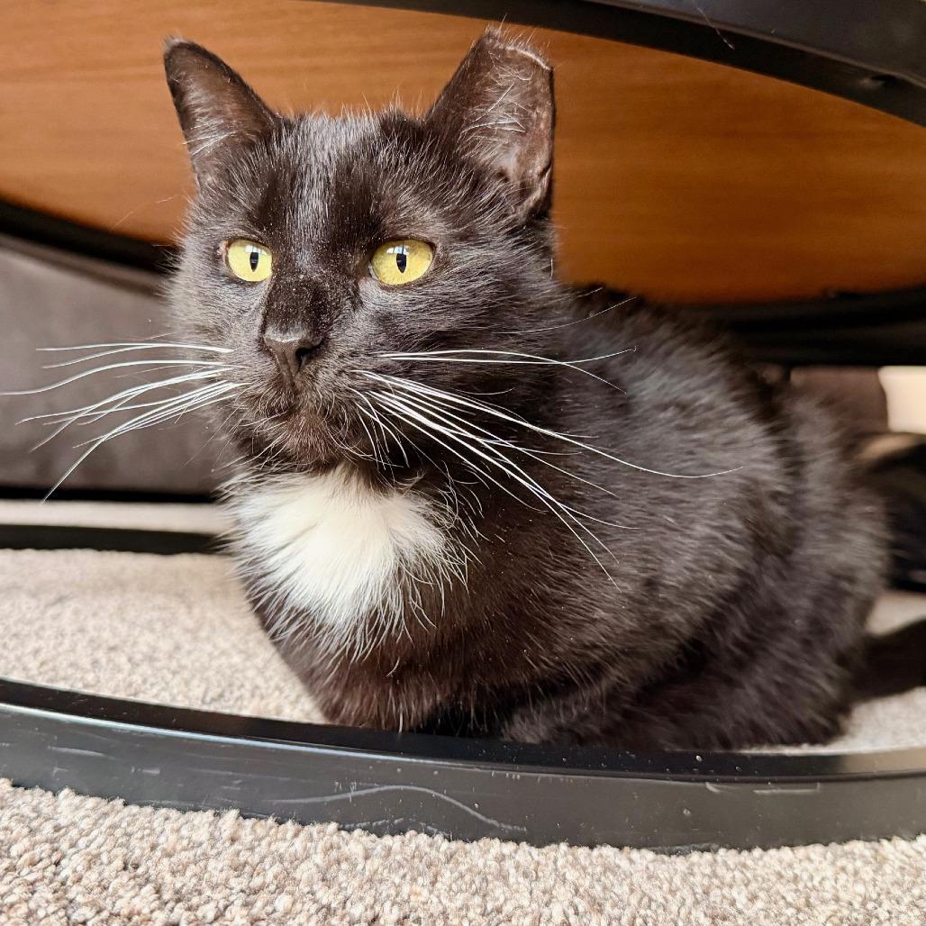 Roberna — thumbnail 6