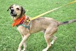 Charlie photo 3