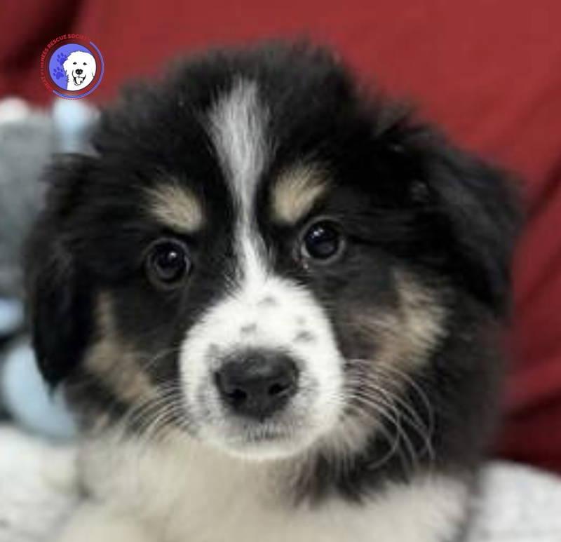 Ottilie — thumbnail 2