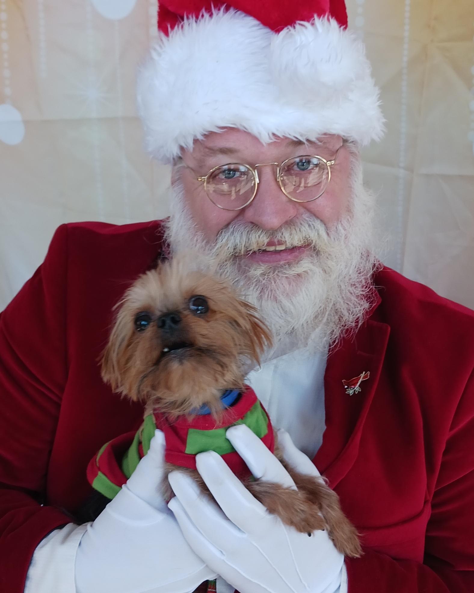 Timmy, adoptable, Adult Male Yorkshire Terrier.