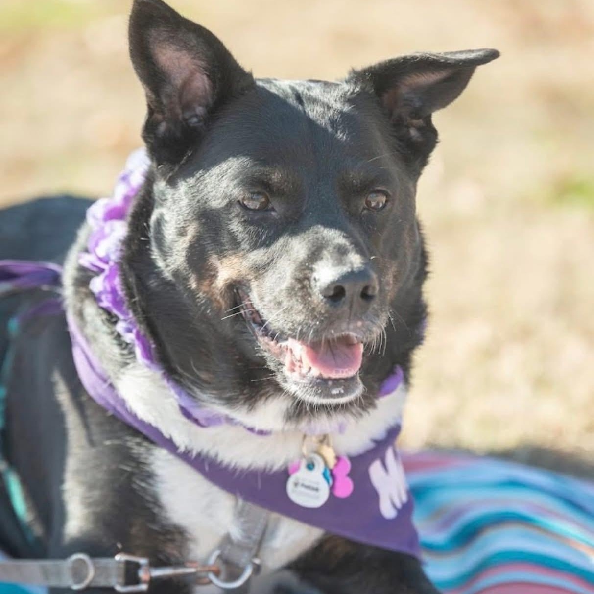 AhRue — thumbnail 4