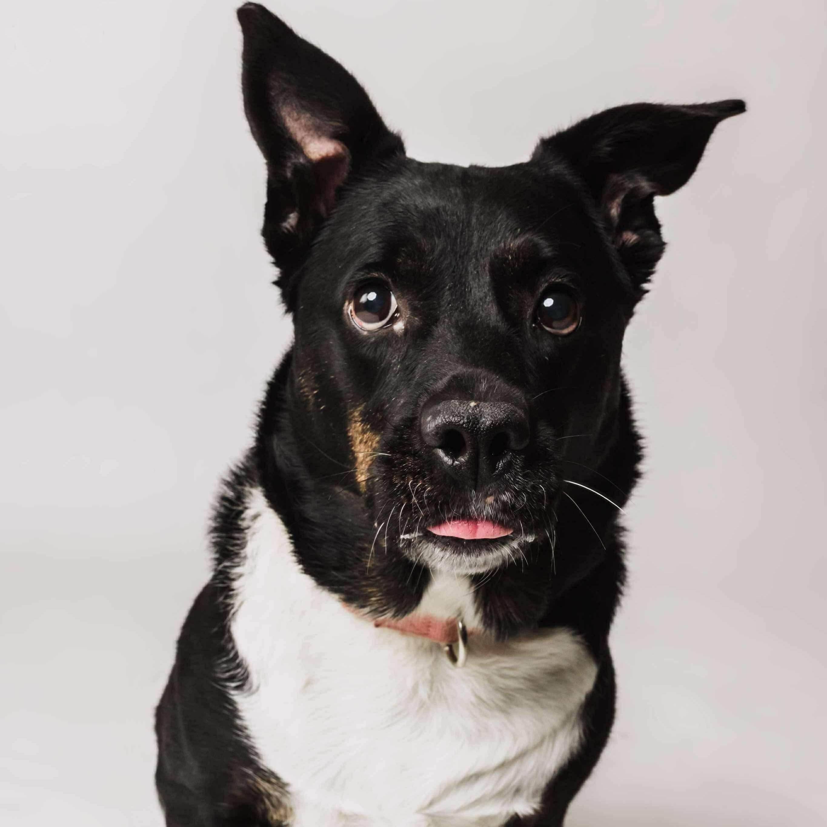 AhRue — thumbnail 6