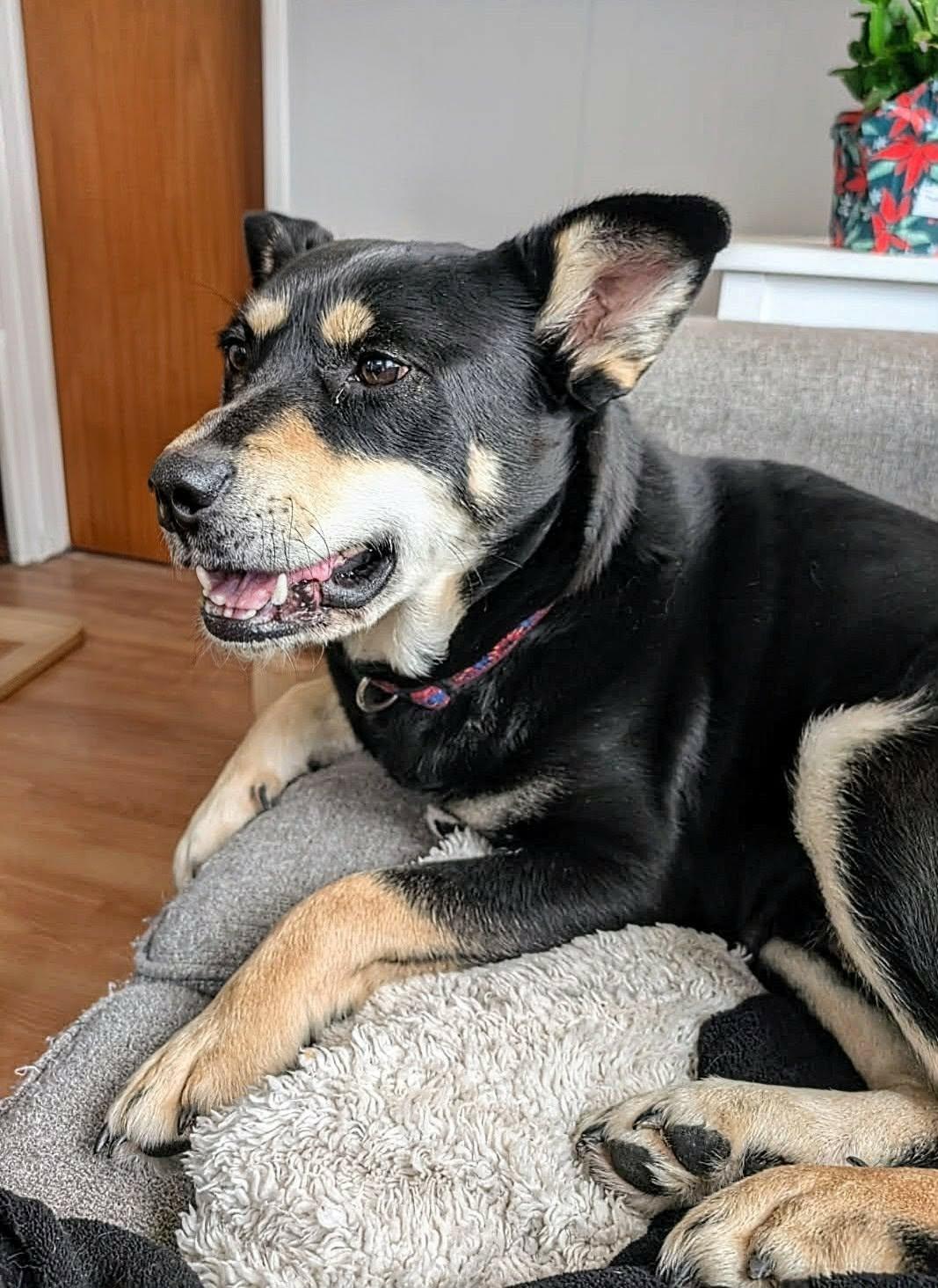 Francesca (20260116-01)