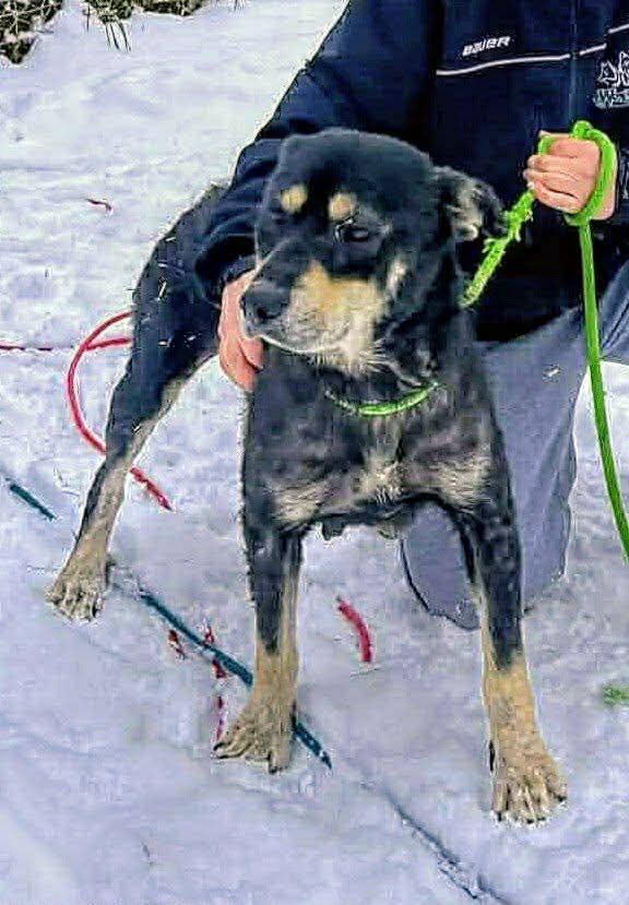 Francesca (20260116-01) — thumbnail 2