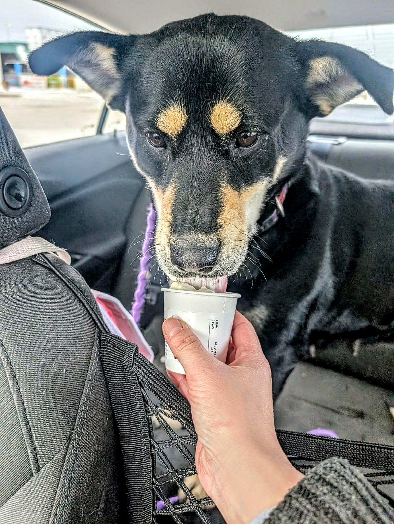 Francesca (20260116-01) — thumbnail 3