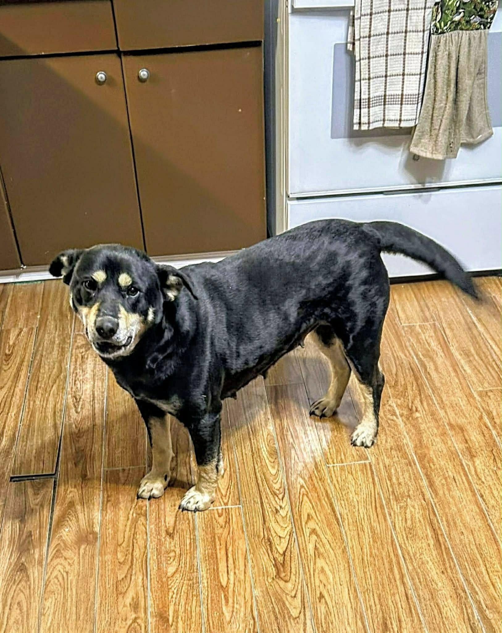 Francesca (20260116-01) — thumbnail 4