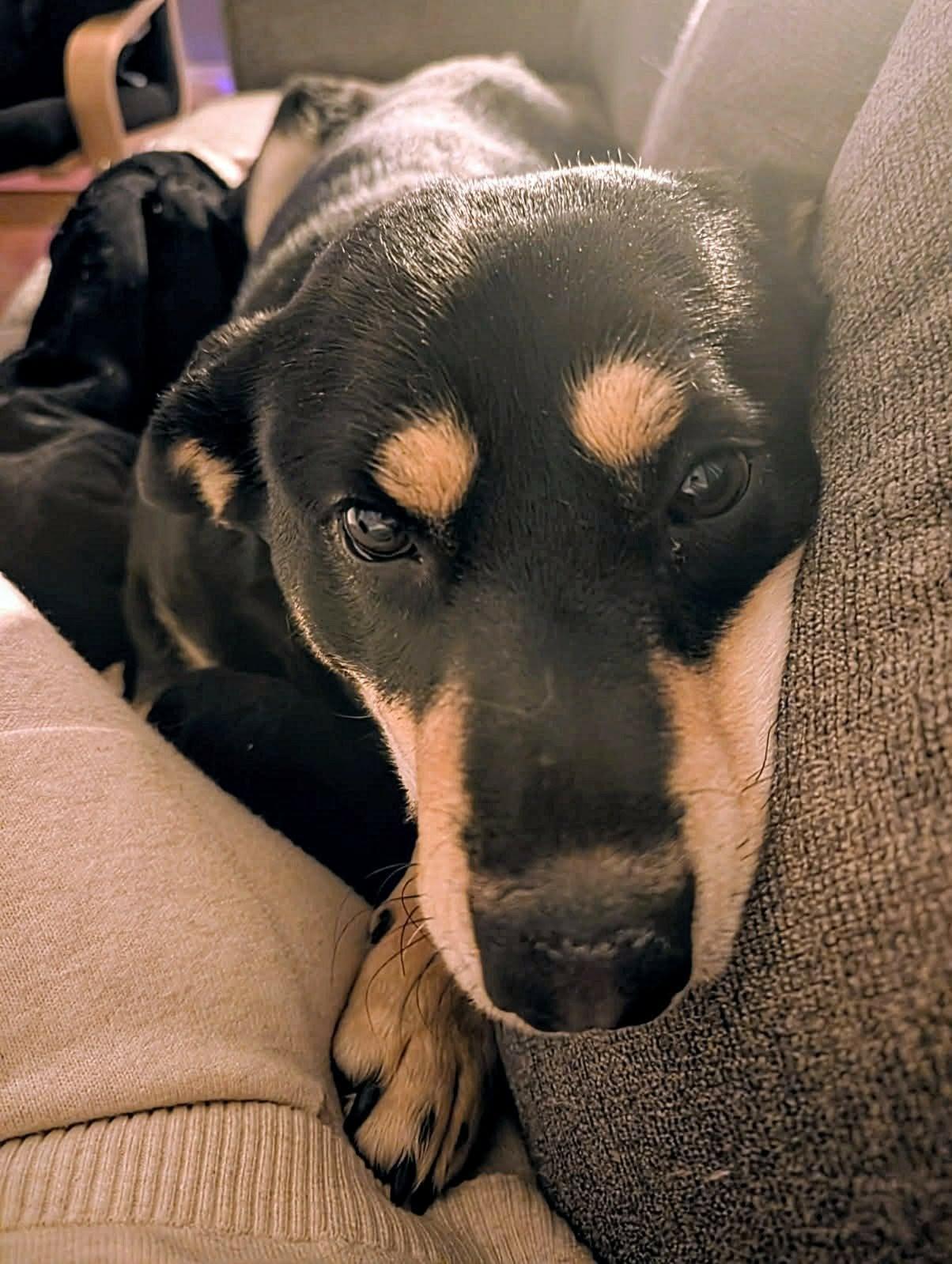 Francesca (20260116-01) — thumbnail 5