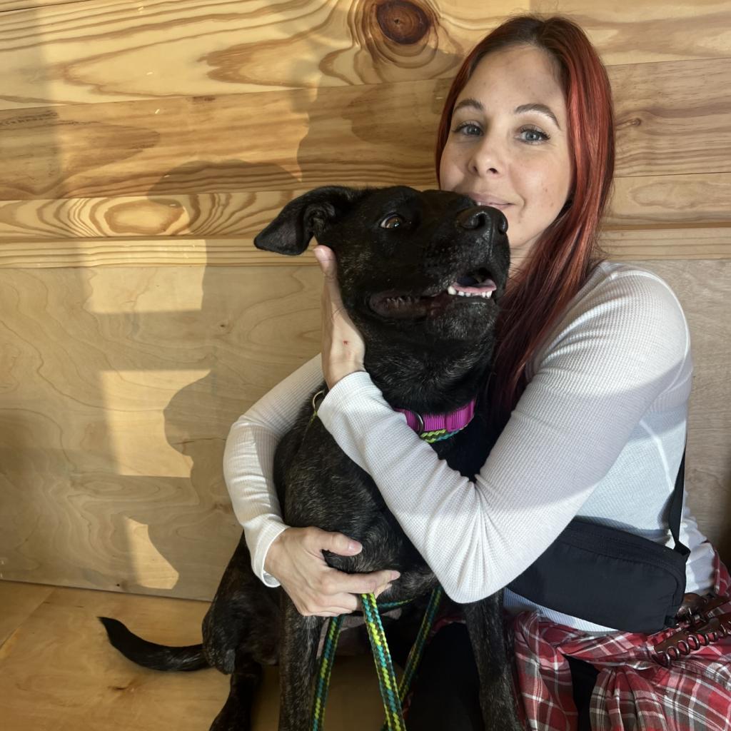 August, a Adoptable mixed breed in Freeport, FL image 3/6