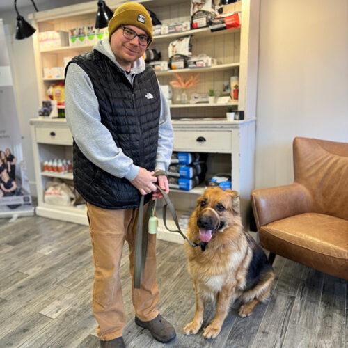 Enlarge Vida, a Adoptable German Shepherd Dog in Hawkestone, ON image 3/6