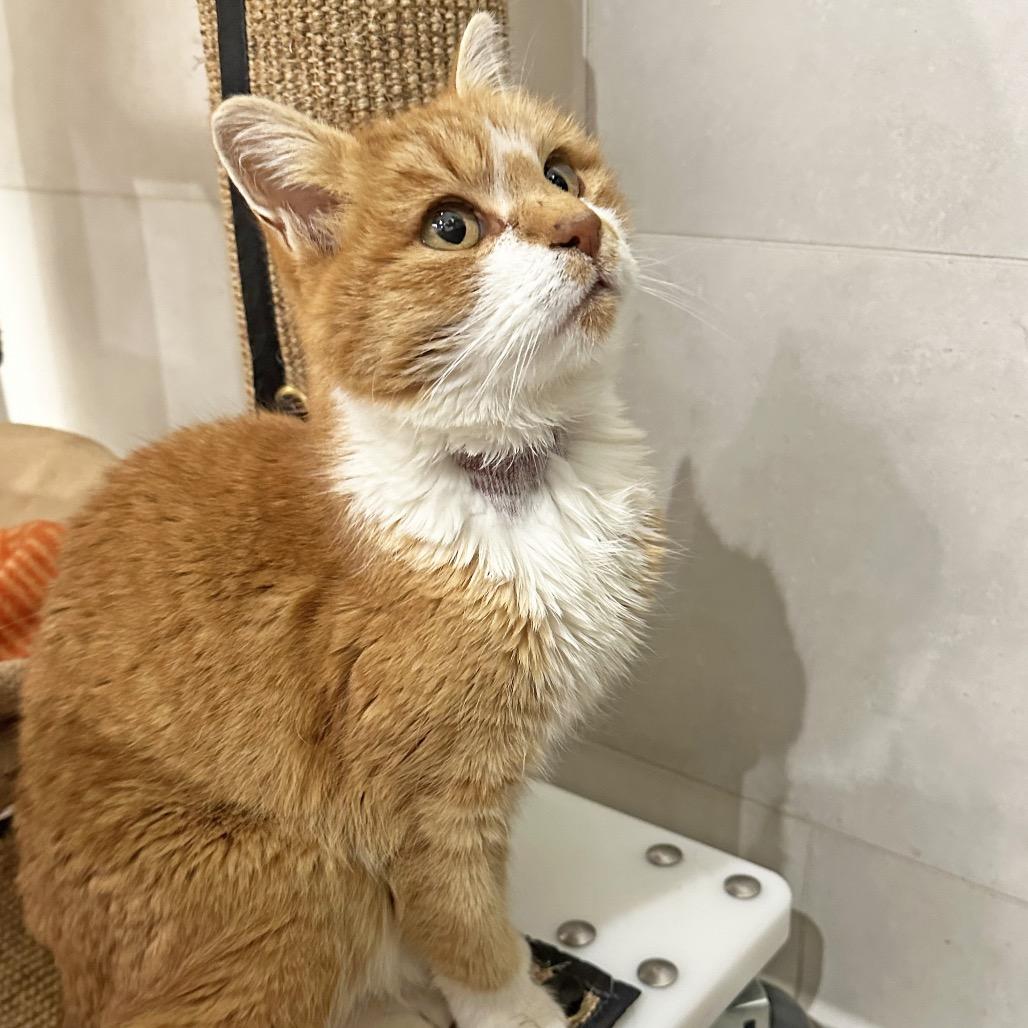 Charlene thumbnail 3