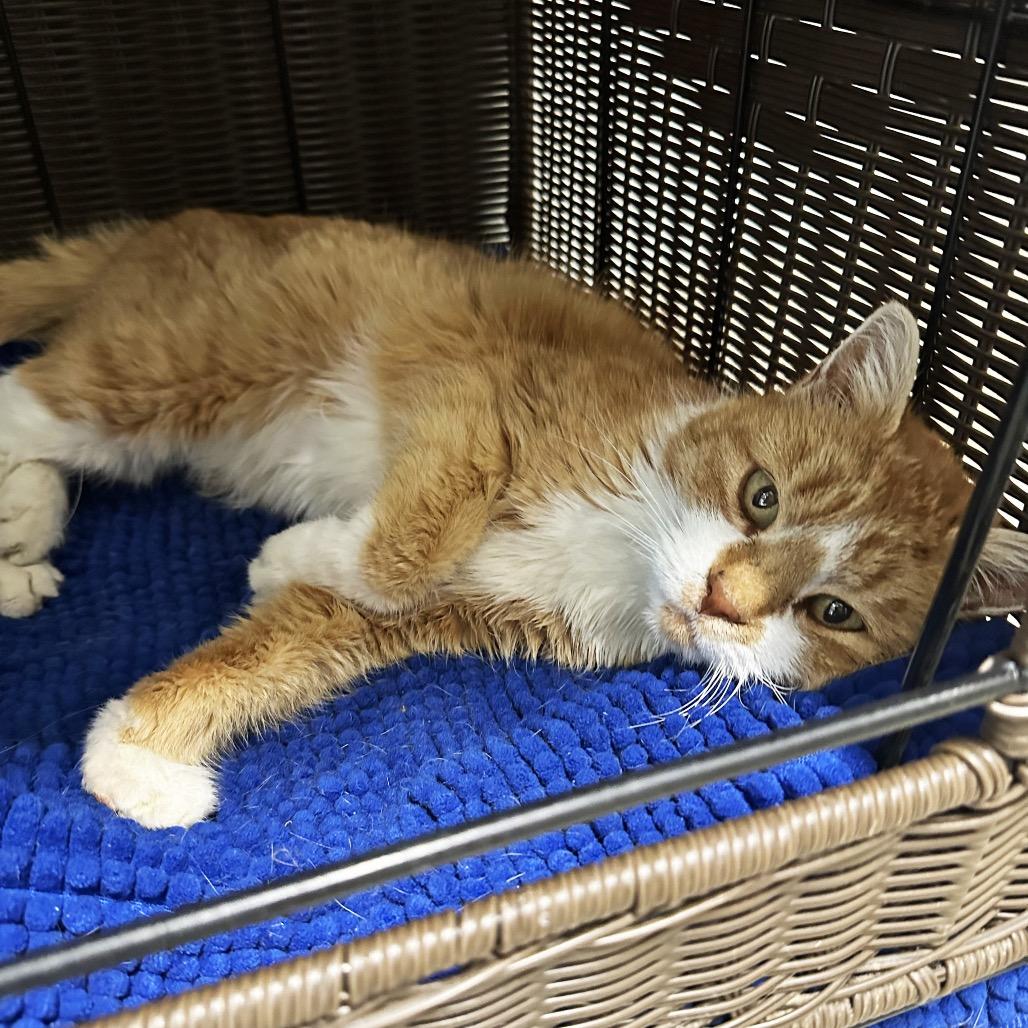 Charlene thumbnail 4