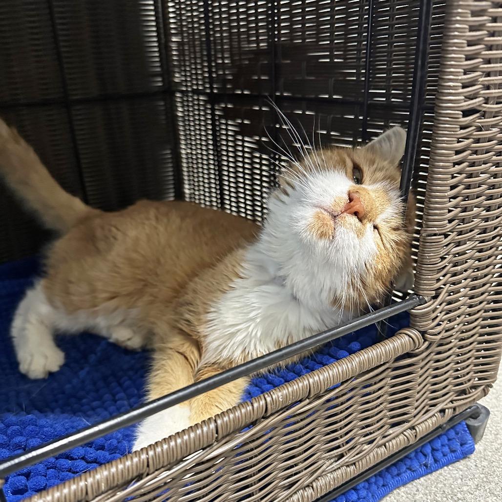 Charlene thumbnail 5