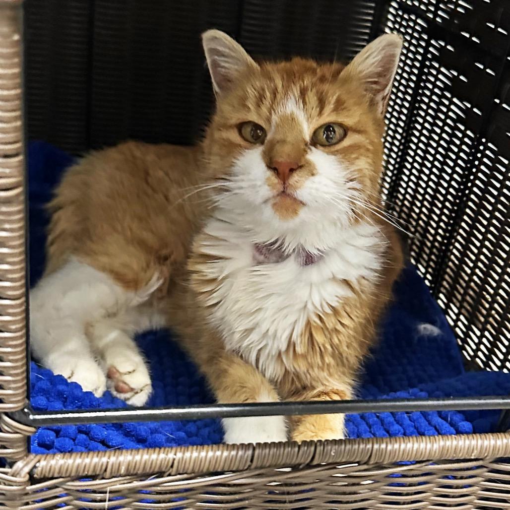 Charlene thumbnail 6