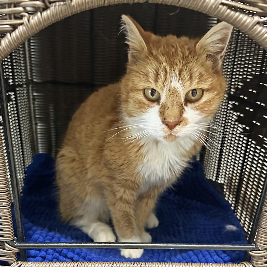 Charlene thumbnail 7