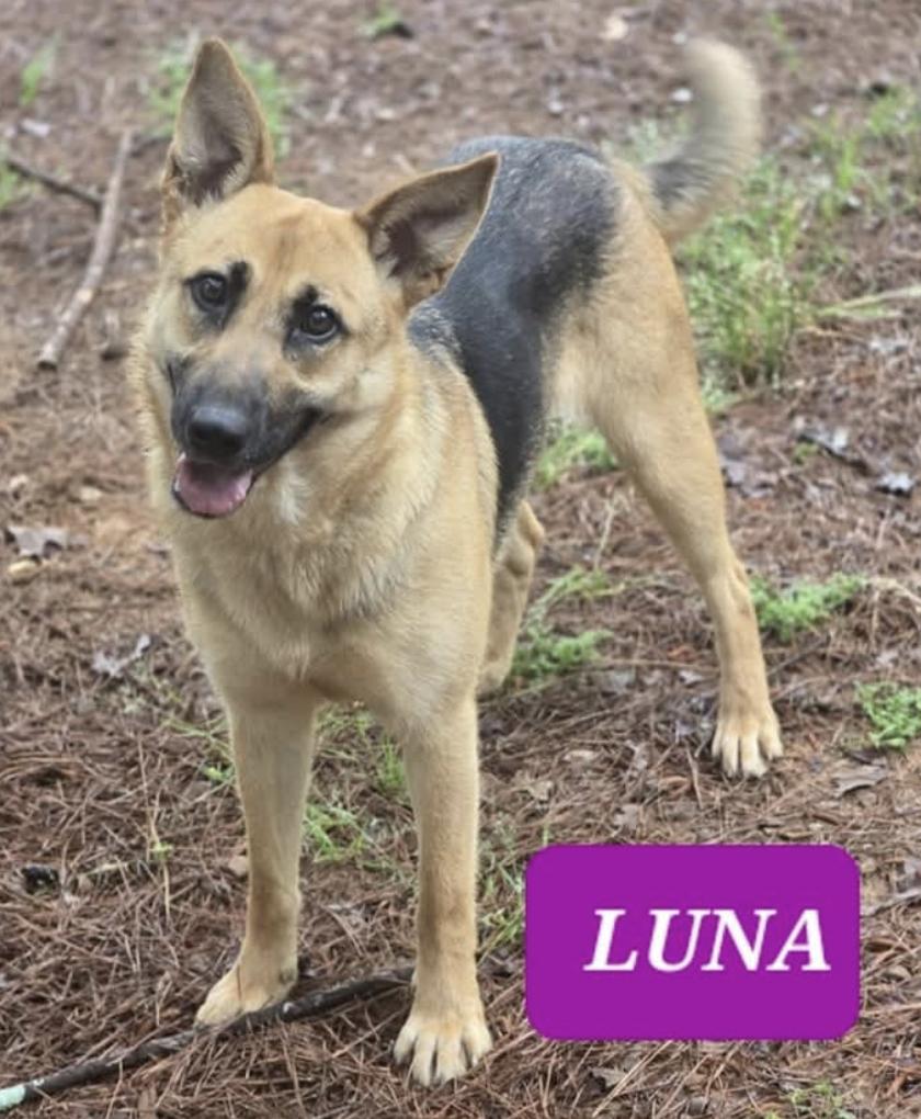 Luna