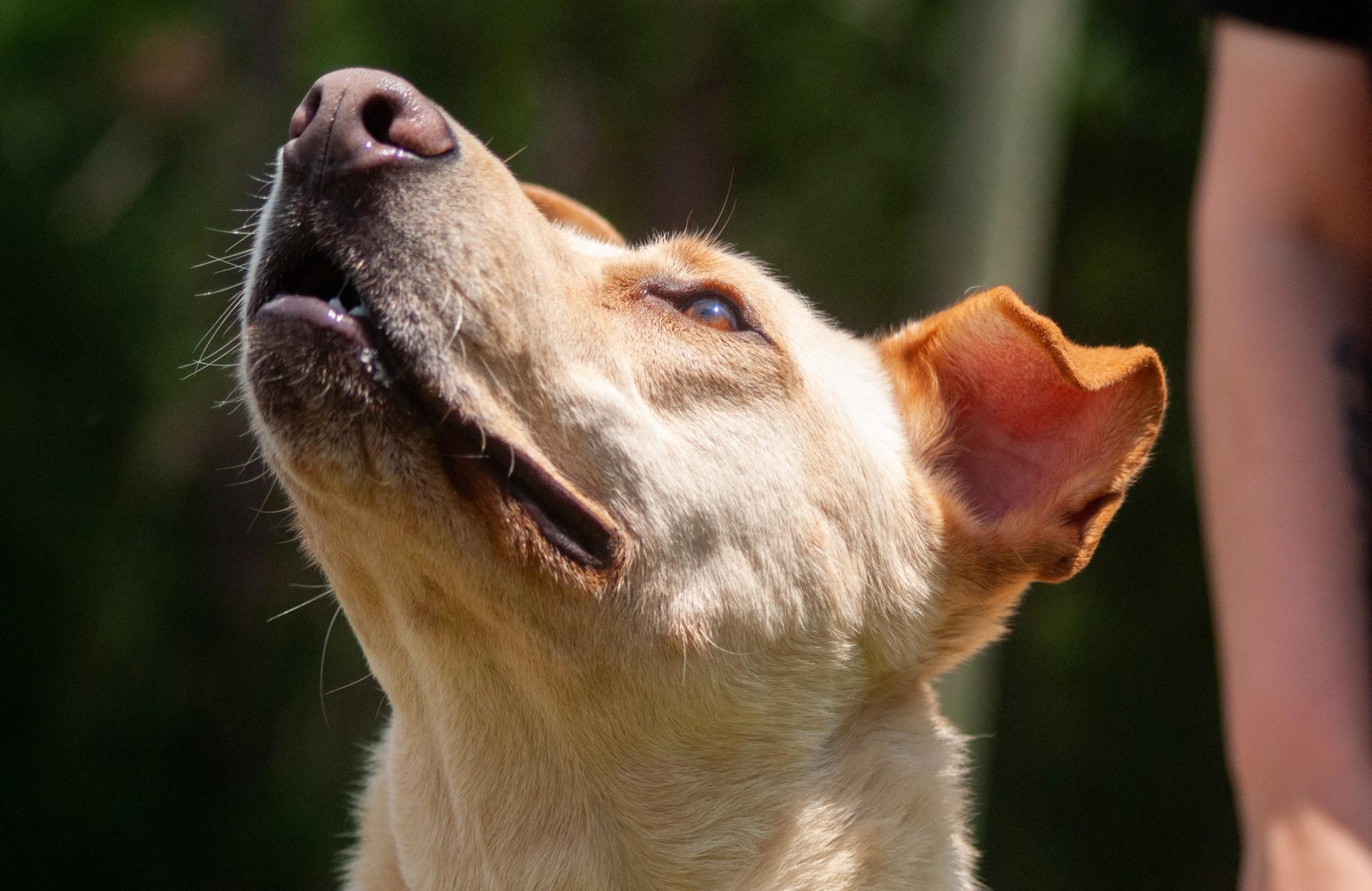 Leeland — thumbnail 6