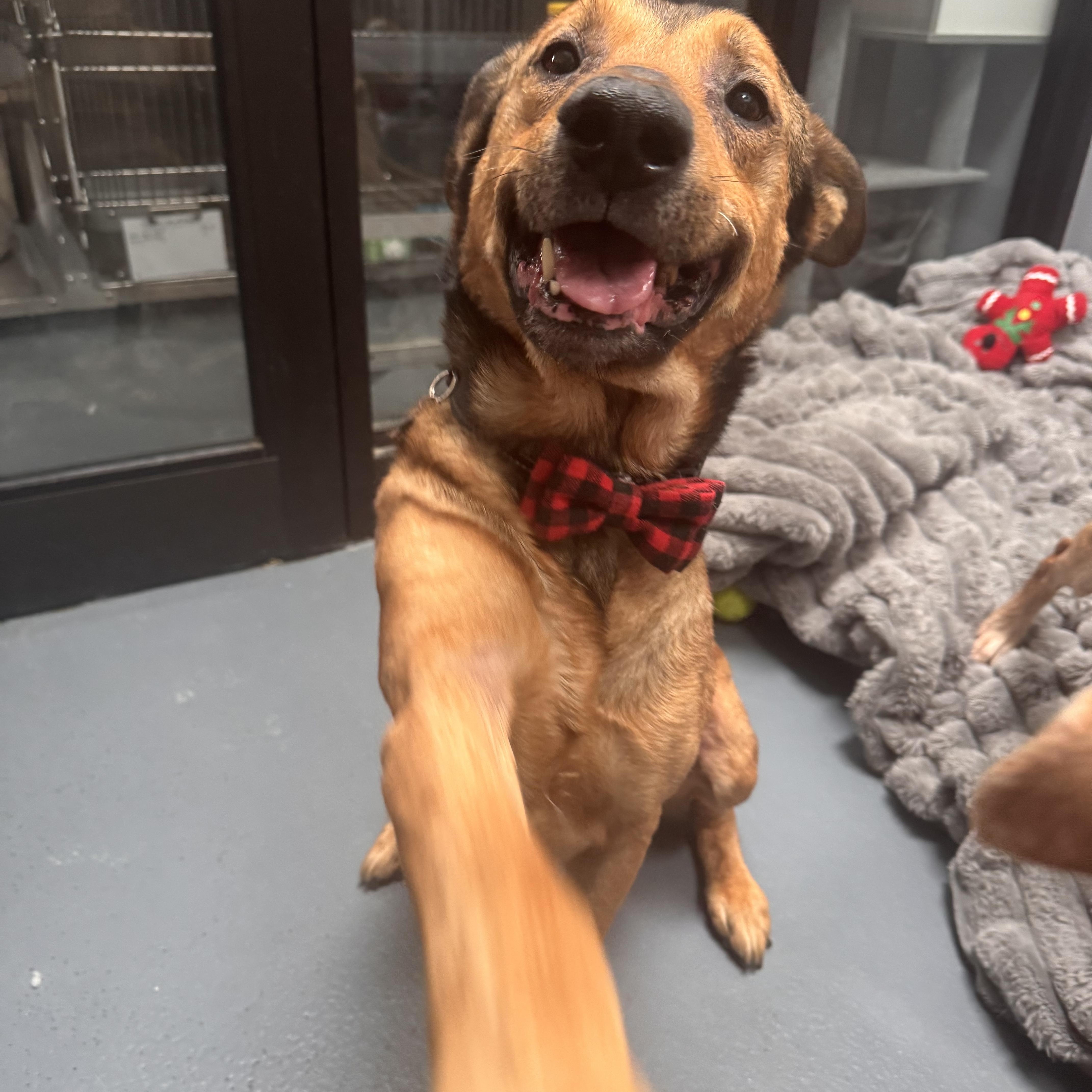 Clyde CM 12/17 — thumbnail 2