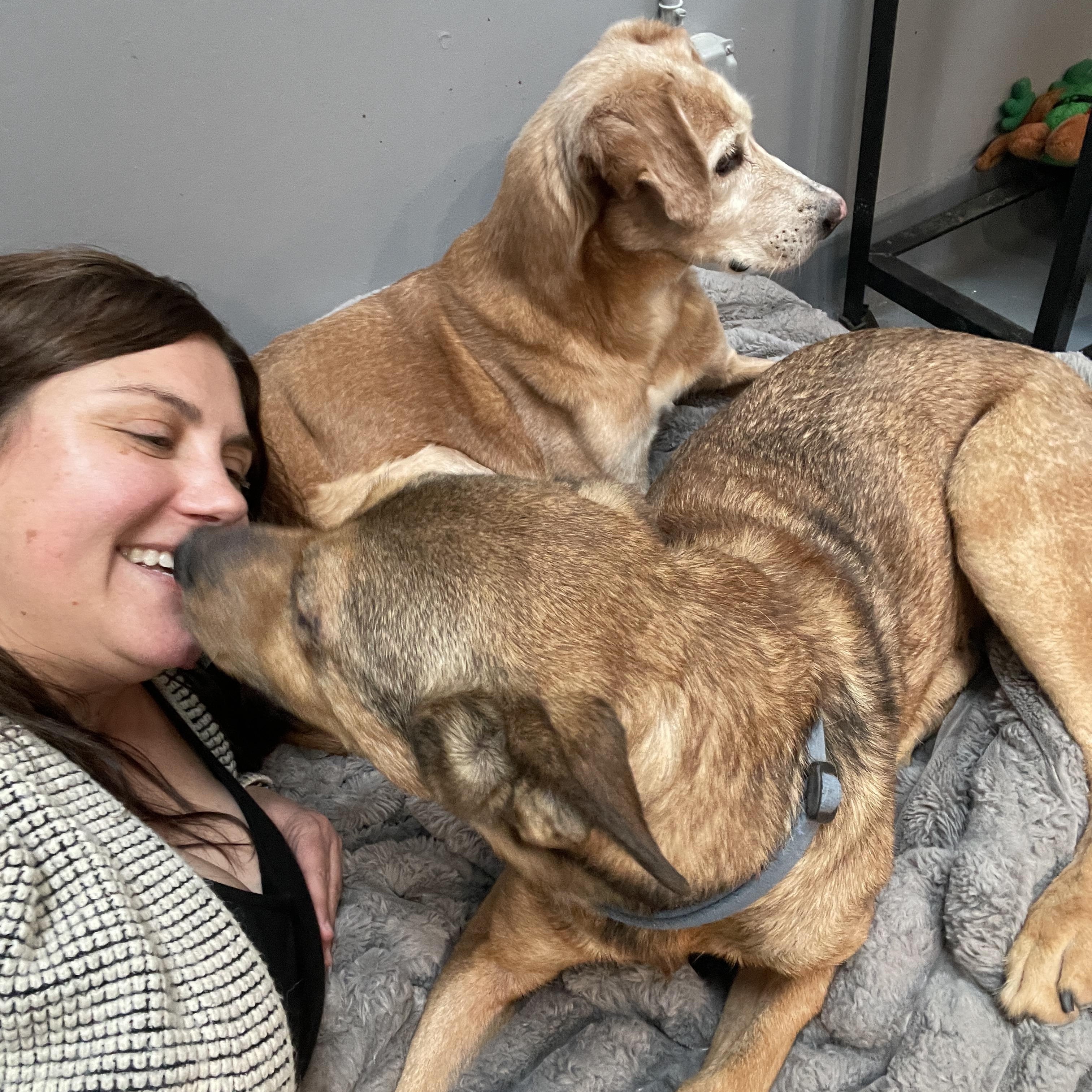 Clyde CM 12/17 — thumbnail 3