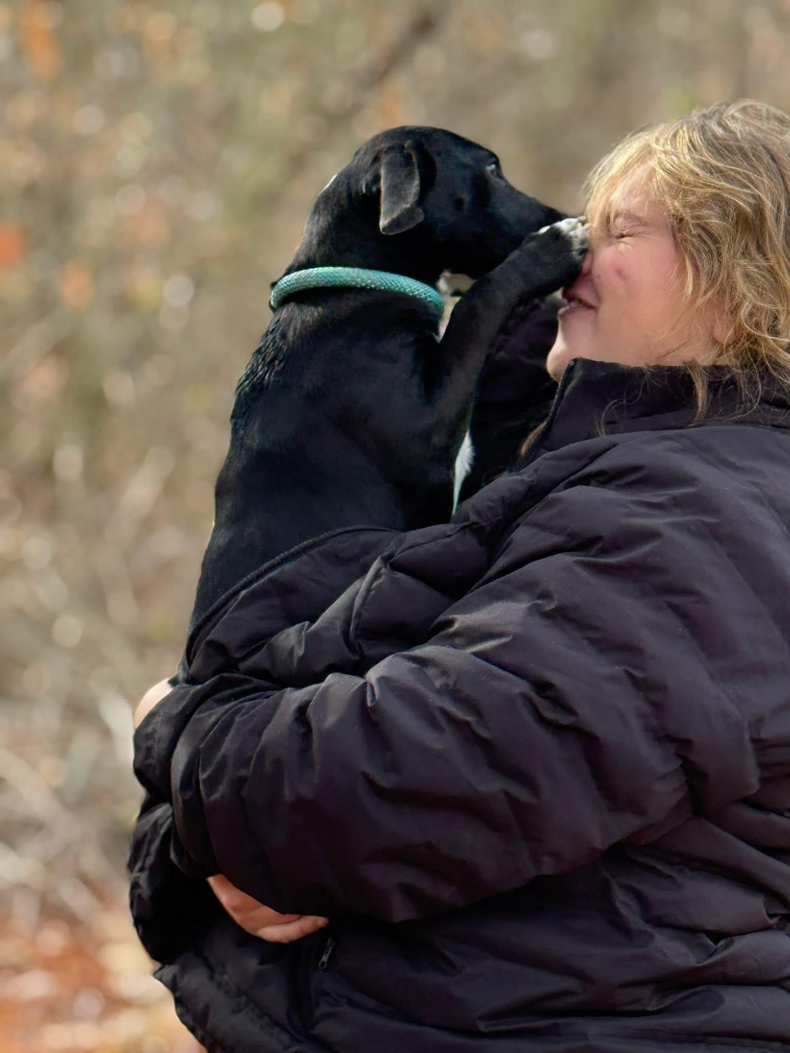Clarice, a Adoptable mixed breed in Richmond, VA image 2/5