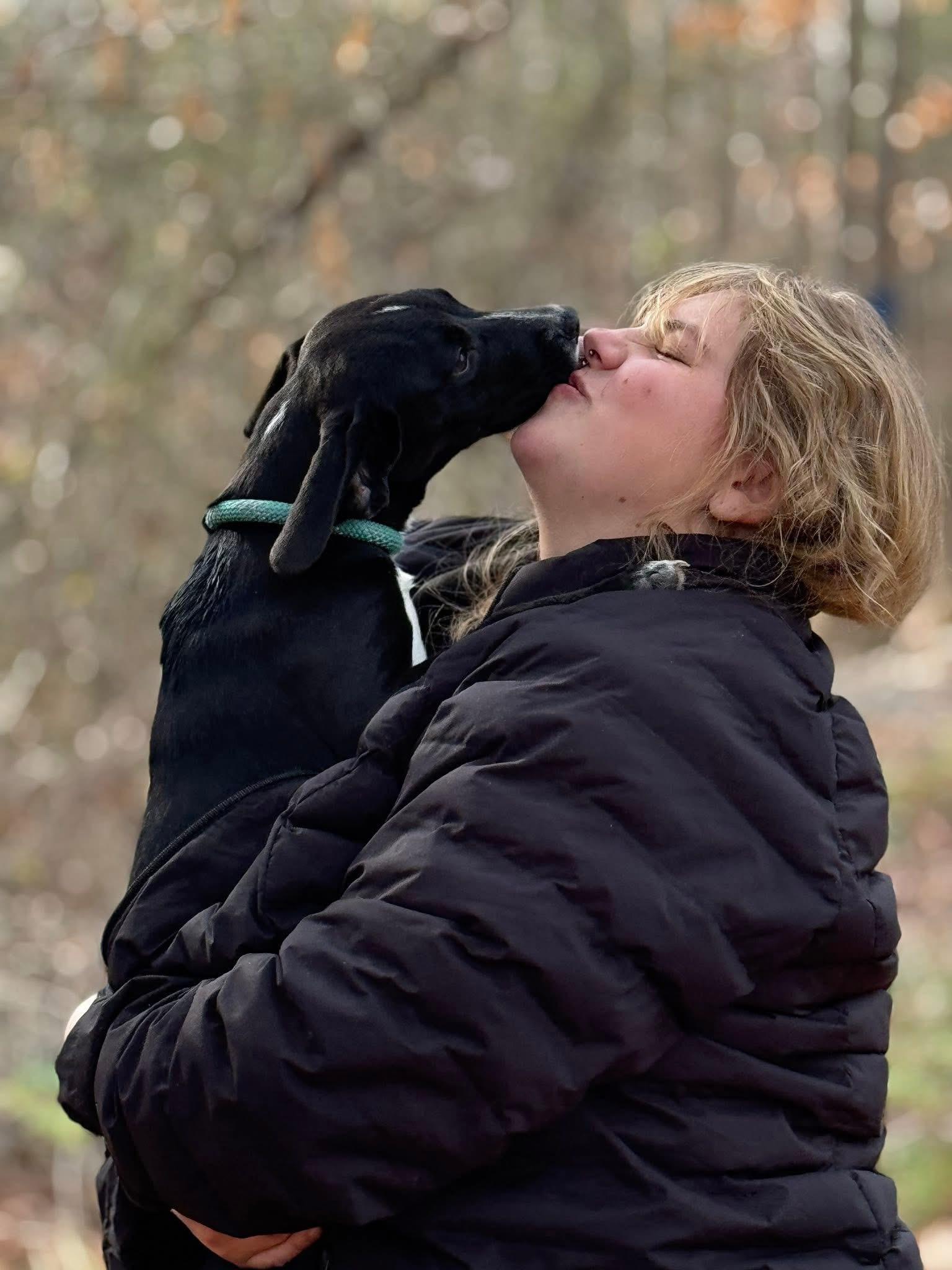 Clarice, a Adoptable mixed breed in Richmond, VA image 4/5
