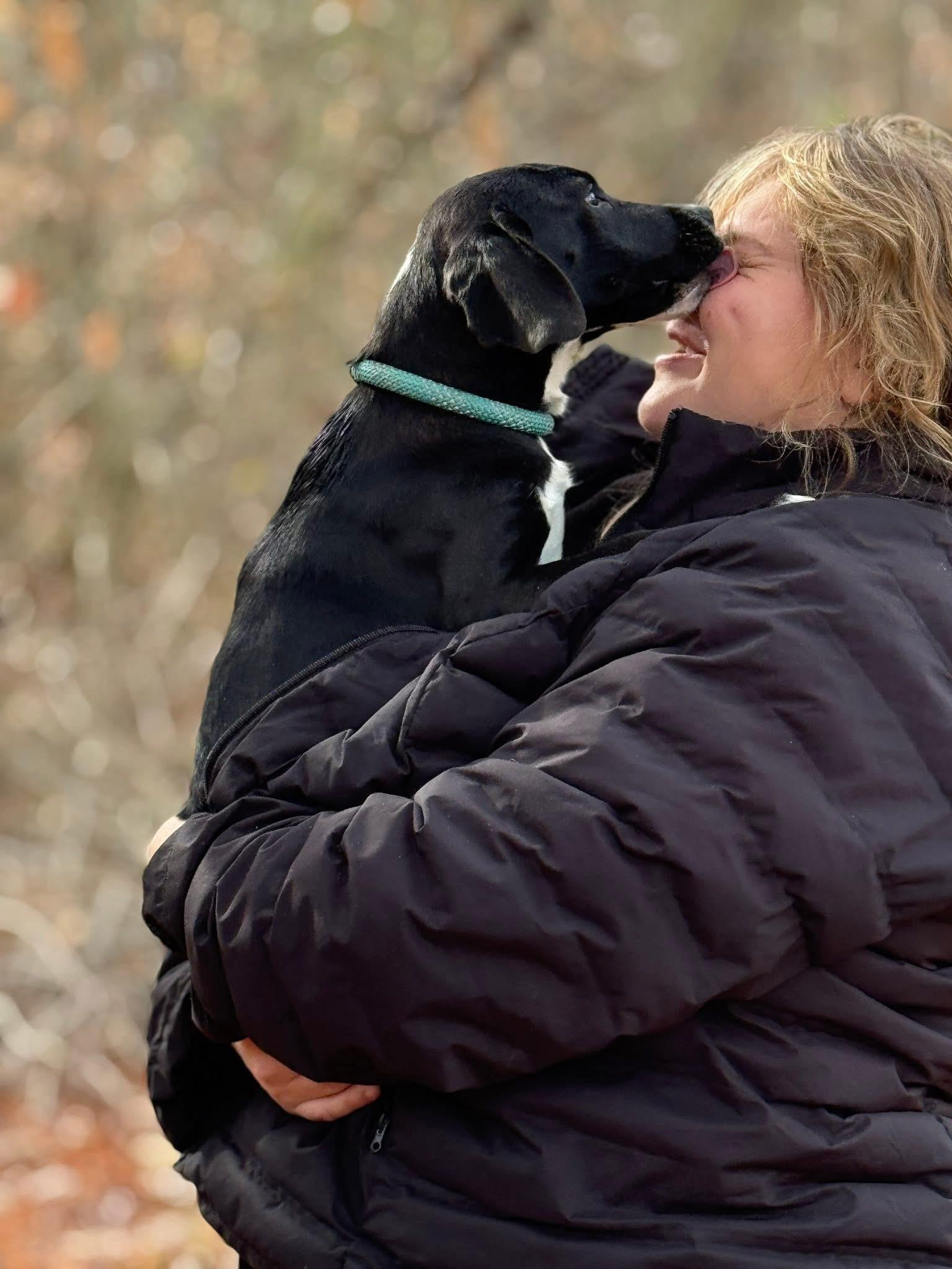 Clarice, a Adoptable mixed breed in Richmond, VA image 5/5