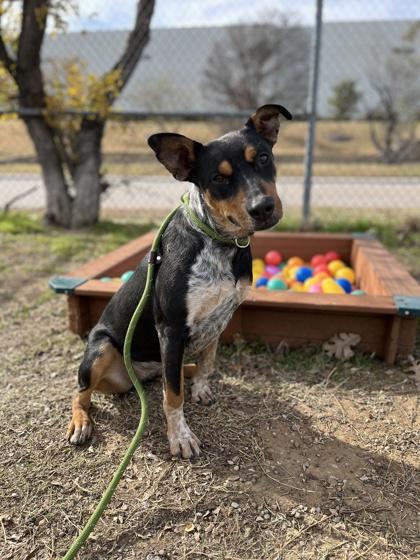 Thelma — thumbnail 2