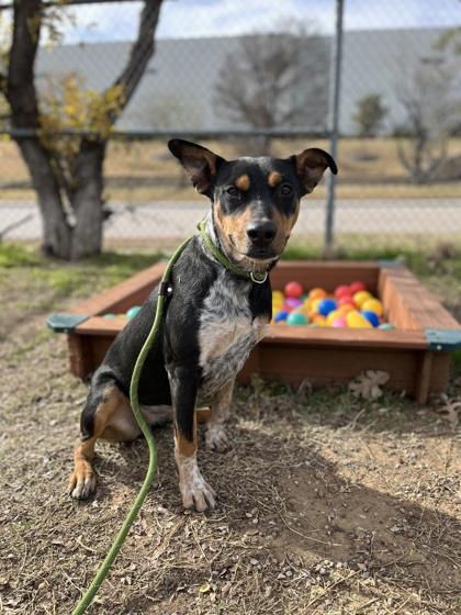 Thelma — thumbnail 3