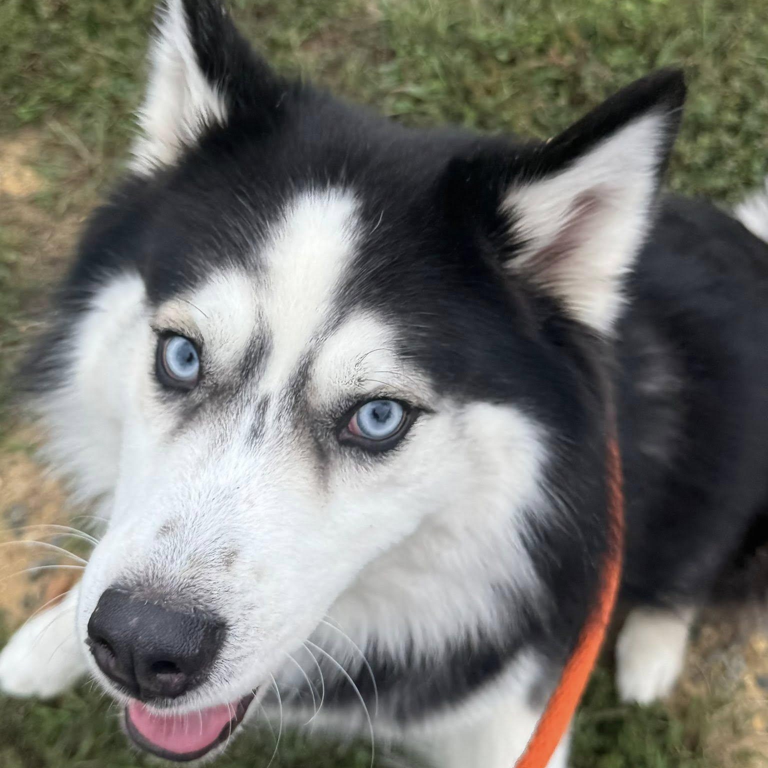 Ares (ID 40791/ 3119)