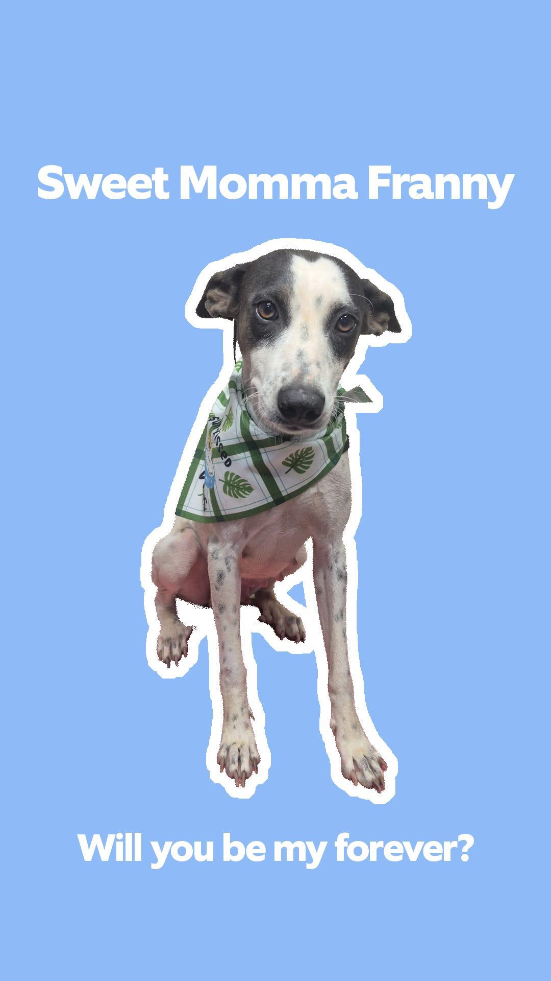 Franny  The Freckled thumbnail 2