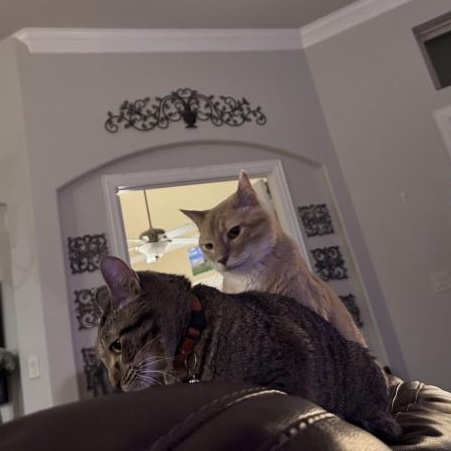 Queens New York — thumbnail 2