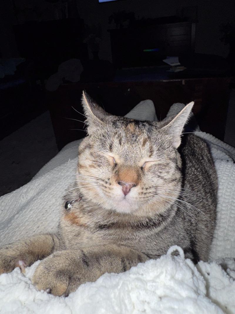 Queens New York — thumbnail 5