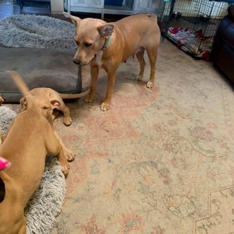 Julia Child thumbnail 2