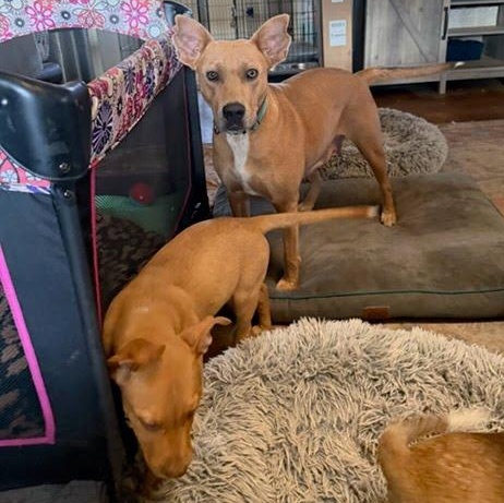 Julia Child thumbnail 3