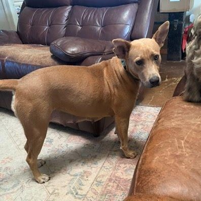 Julia Child thumbnail 4