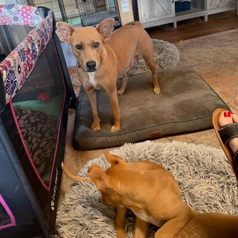 Julia Child thumbnail 6