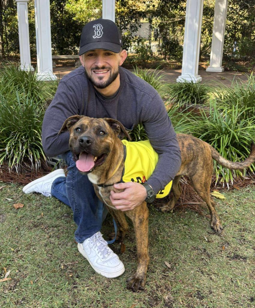 Enlarge Pork Chop, a Adoptable mixed breed in Hartsville, SC image 5/6