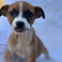 Sugar Pie!! thumbnail 2