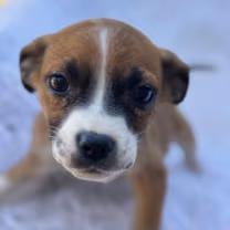 Sugar Pie!! thumbnail 3