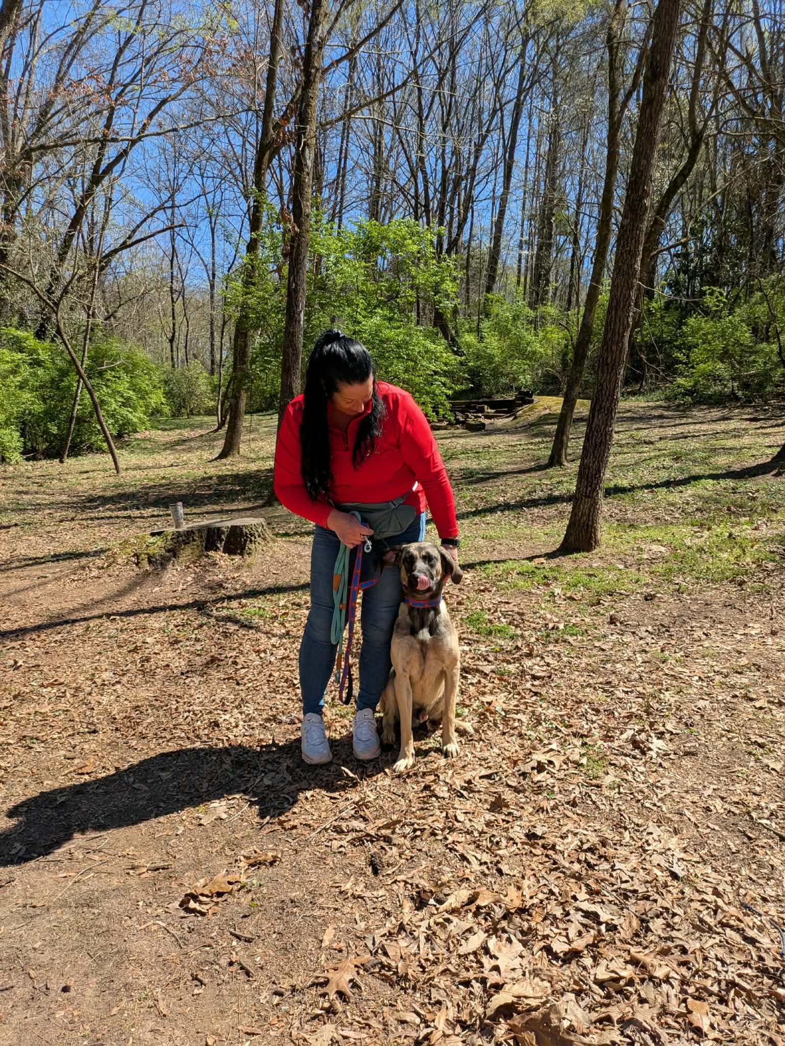 Enlarge Rocky, a ADOPTABLE mixed breed in Hilham, TN image 5/6