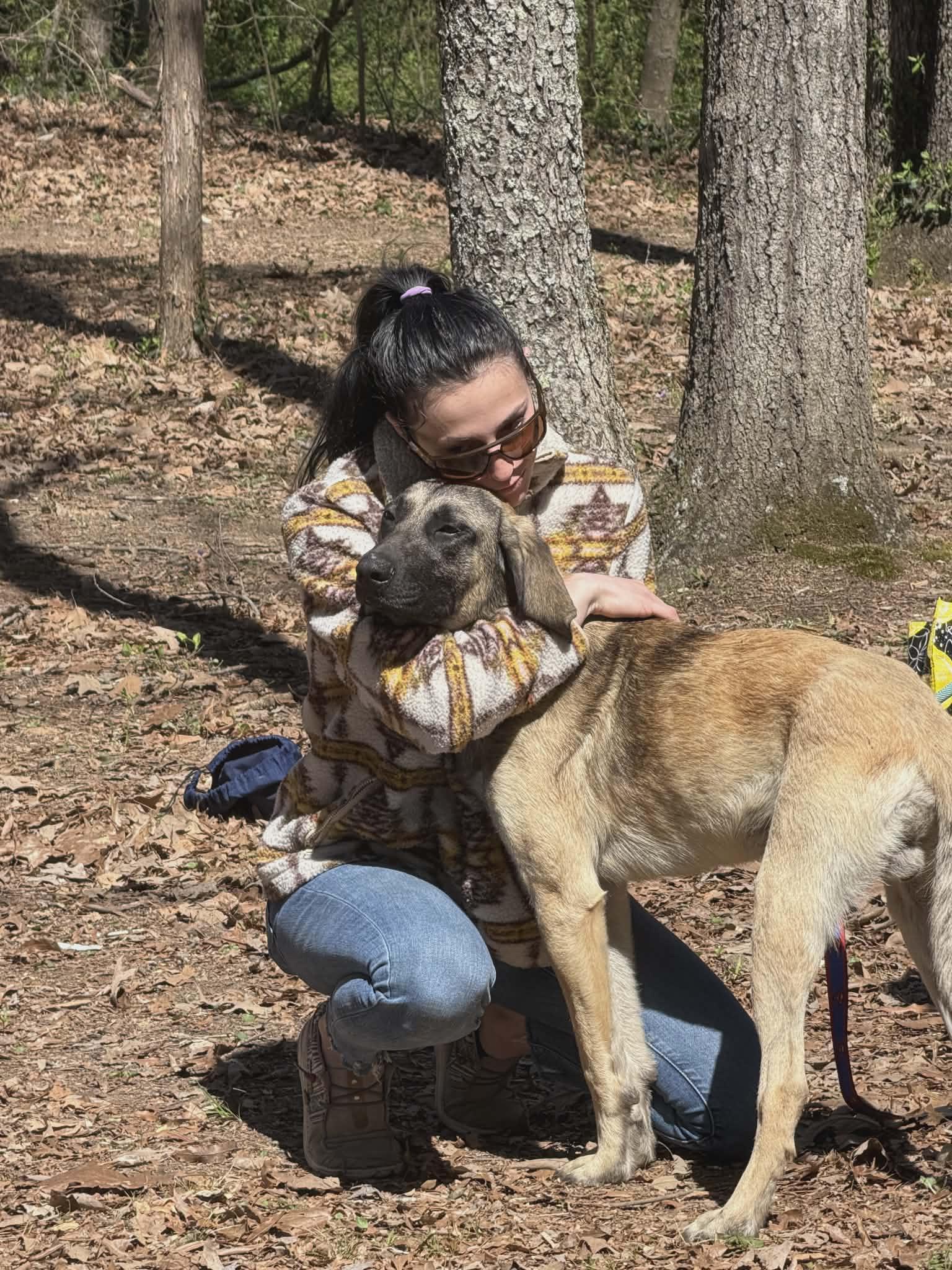 Enlarge Rocky, a ADOPTABLE mixed breed in Hilham, TN image 3/6