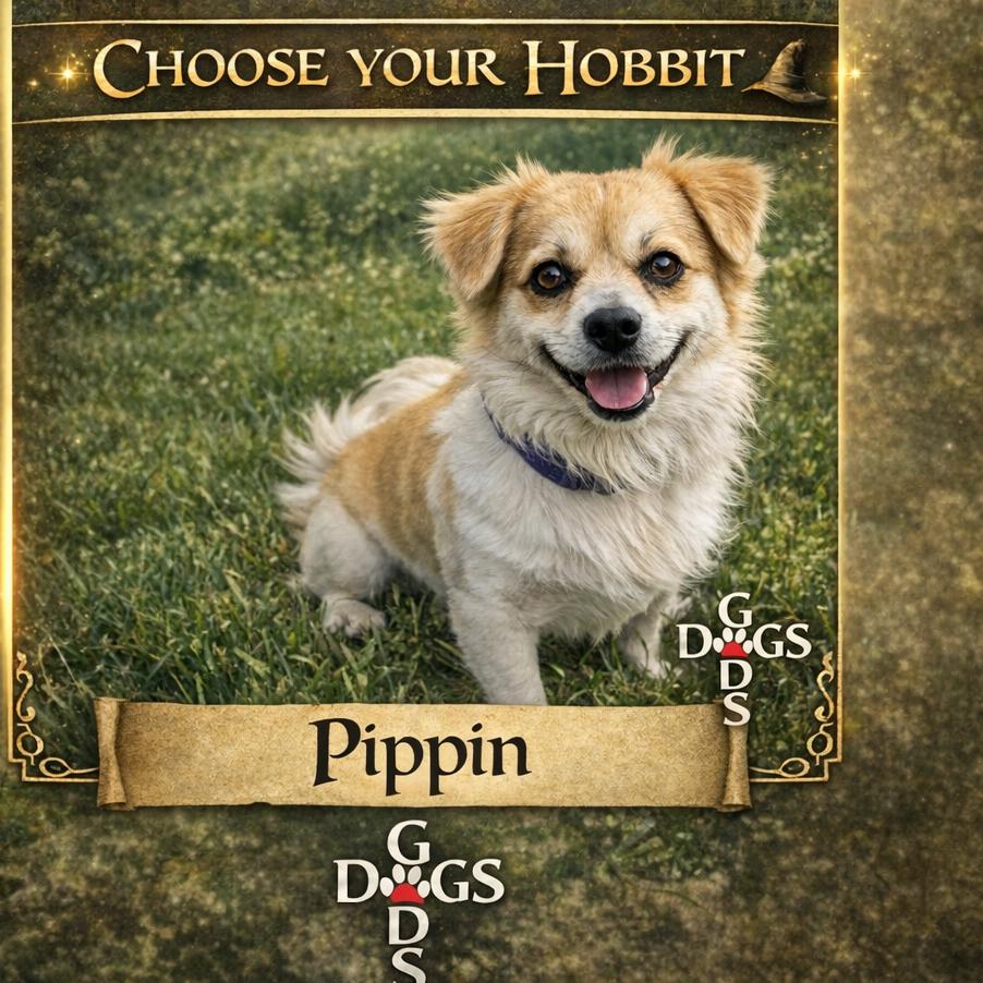 Pippin JDG