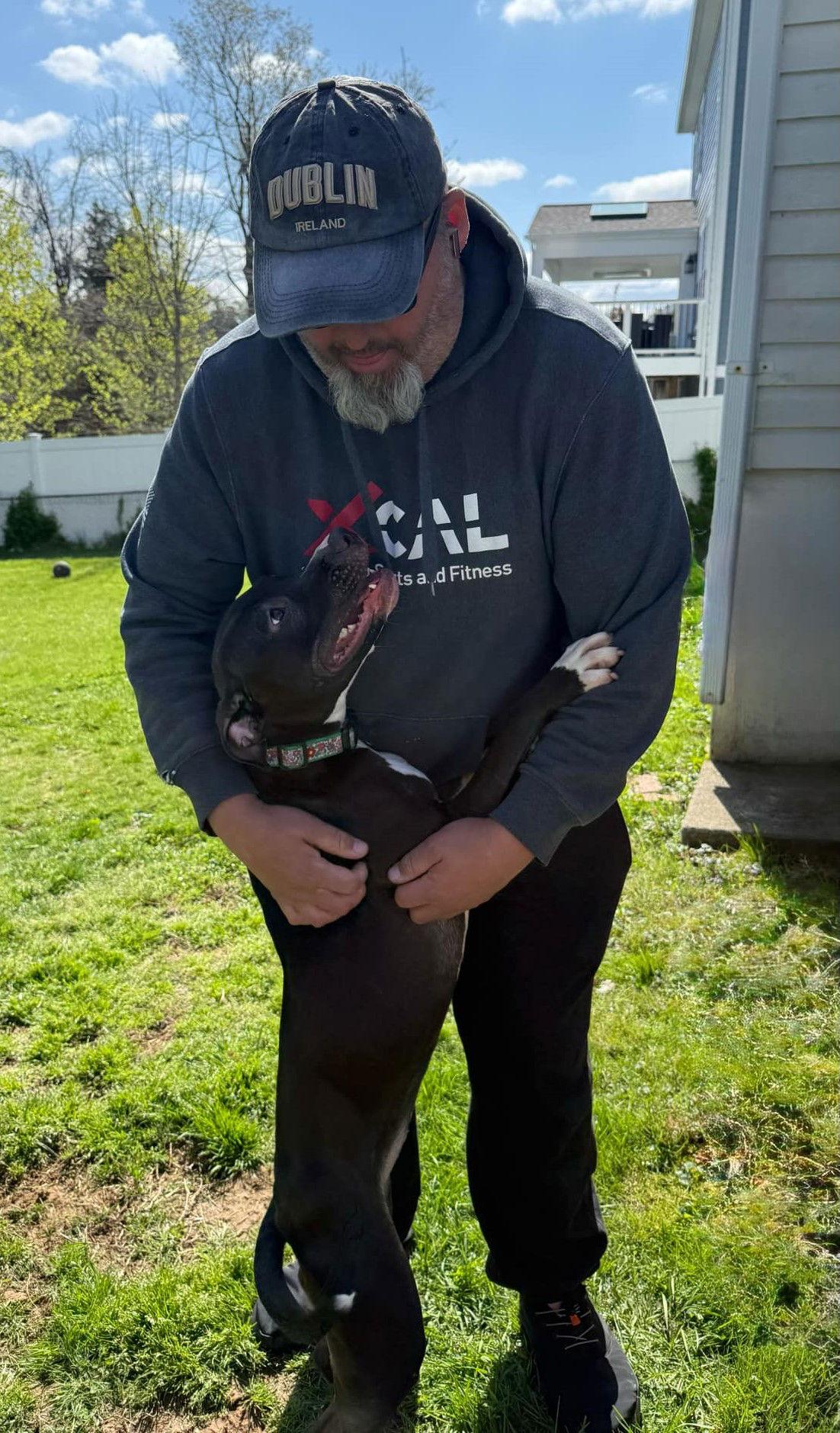 Brenda *Adopt*, a Adoptable American Staffordshire Terrier in Fairfax, VA image 3/3