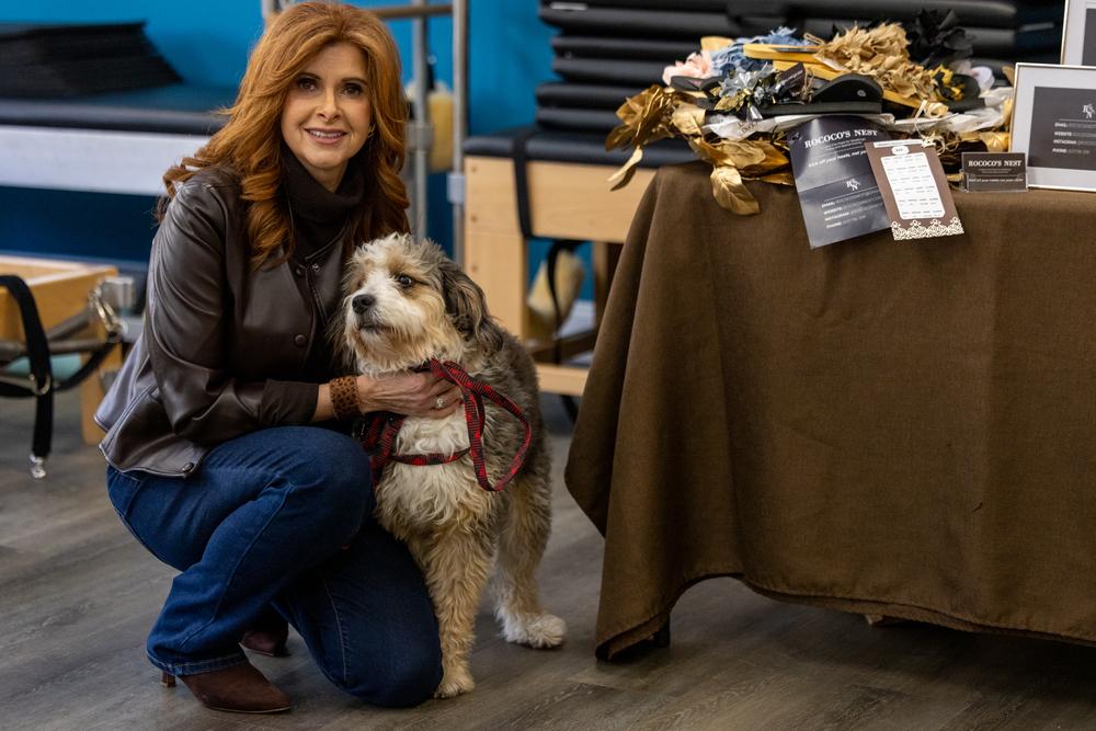 Enlarge Koda, a Adoptable mixed breed in Valley Stream, NY image 5/6