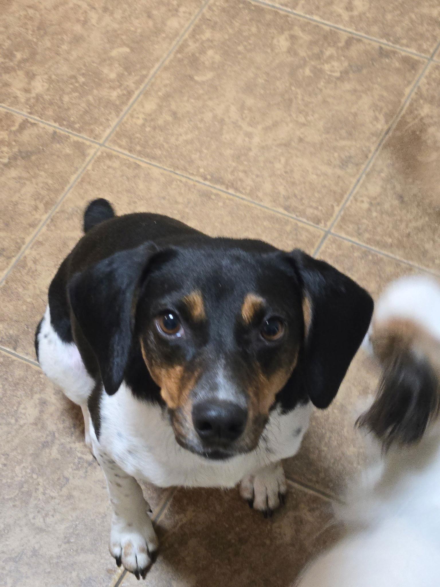 Buddy  No More thumbnail 3