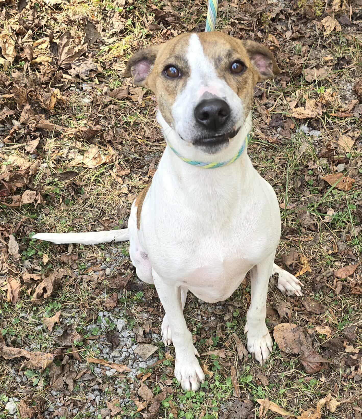 Jethro *foster needed*