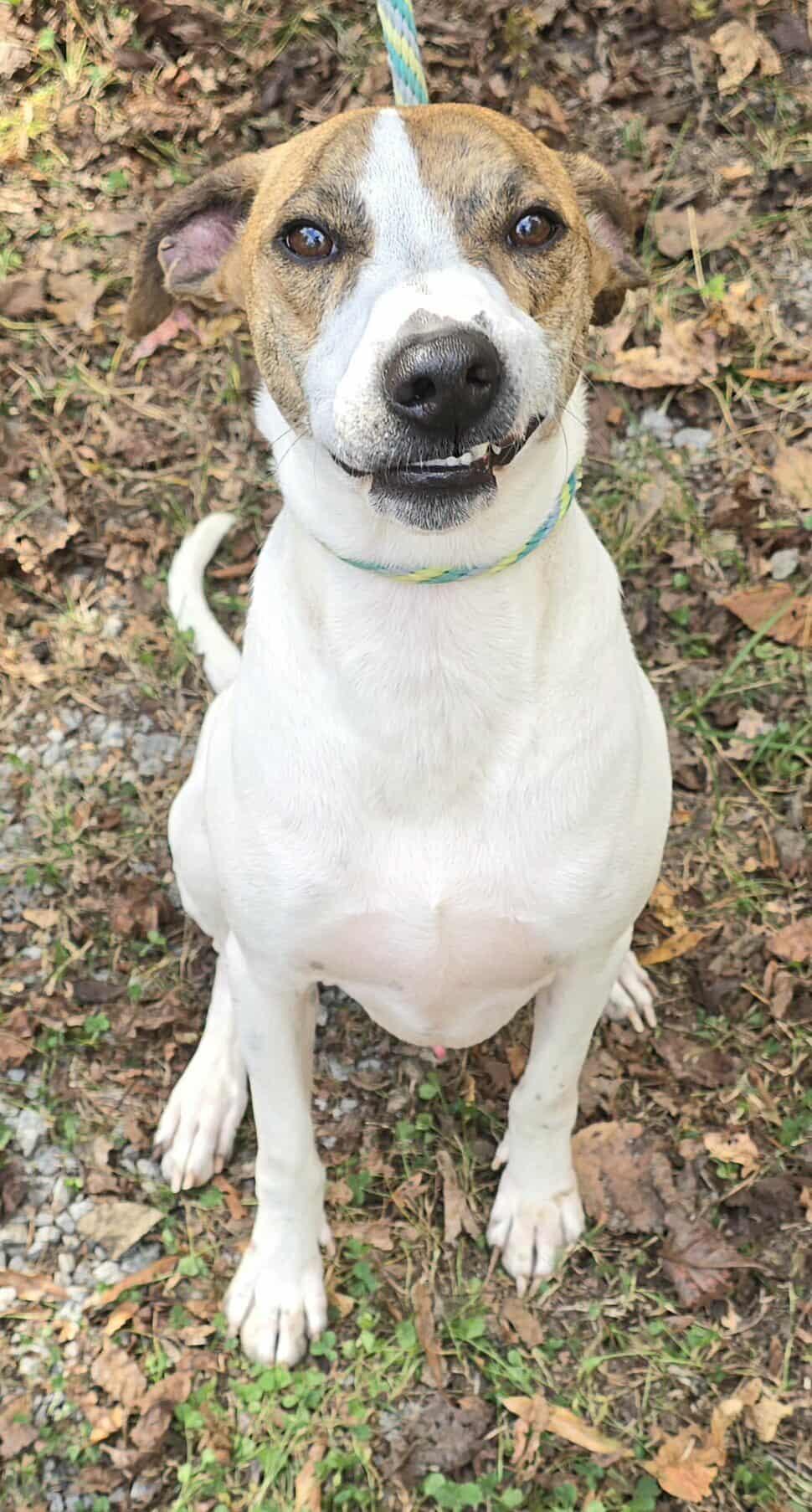 Jethro *foster needed*