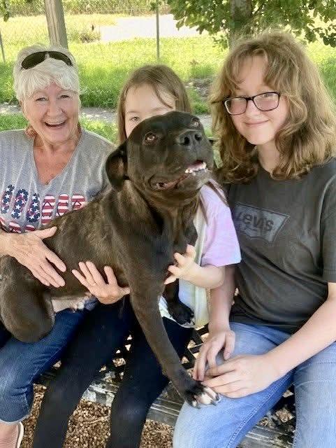 Lola — thumbnail 3