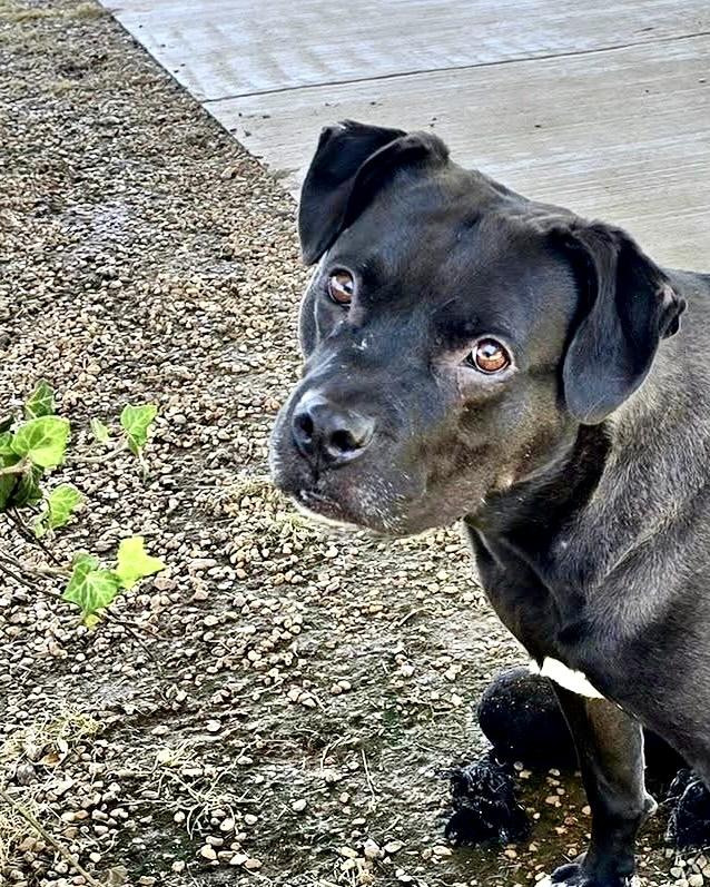 Lola — thumbnail 5